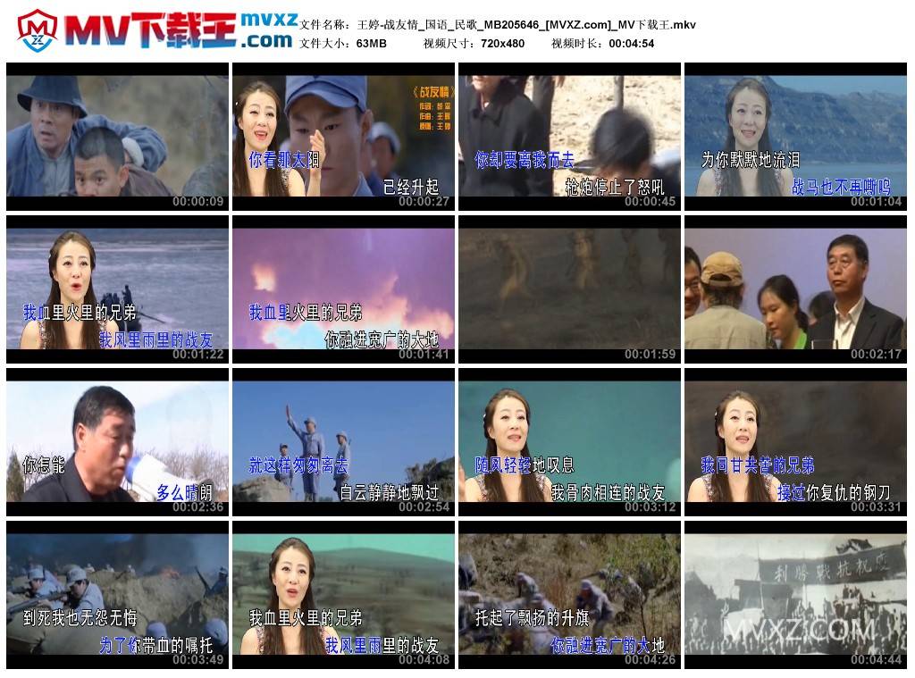 王婷-战友情_国语_民歌_MB205646